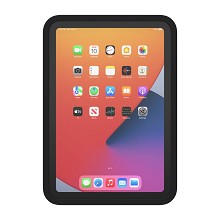 iPort Connect Case for iPad Mini 6